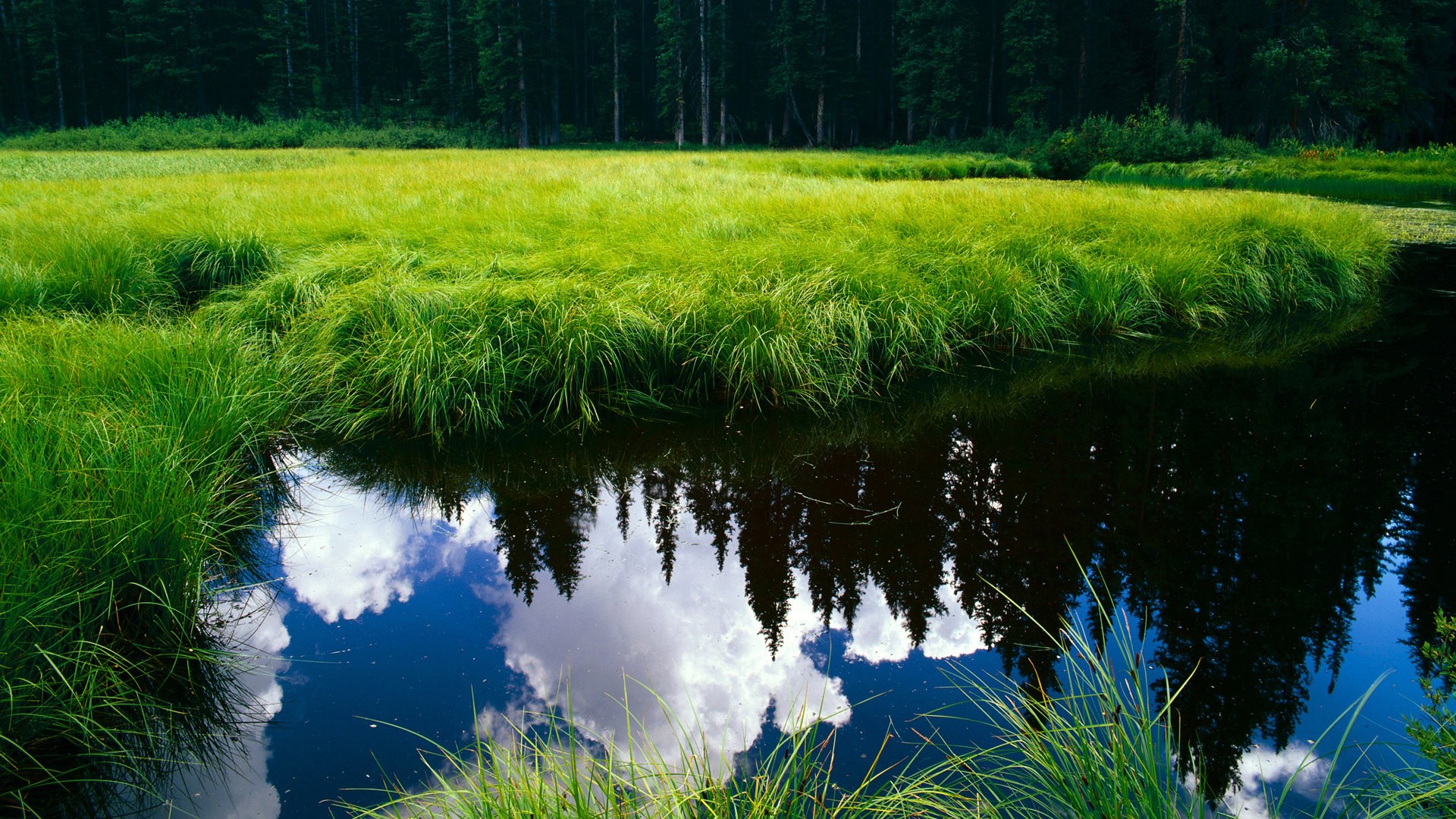 “意甲持续高强度比拼，争夺欧冠门票激烈”，意甲参加欧冠名额