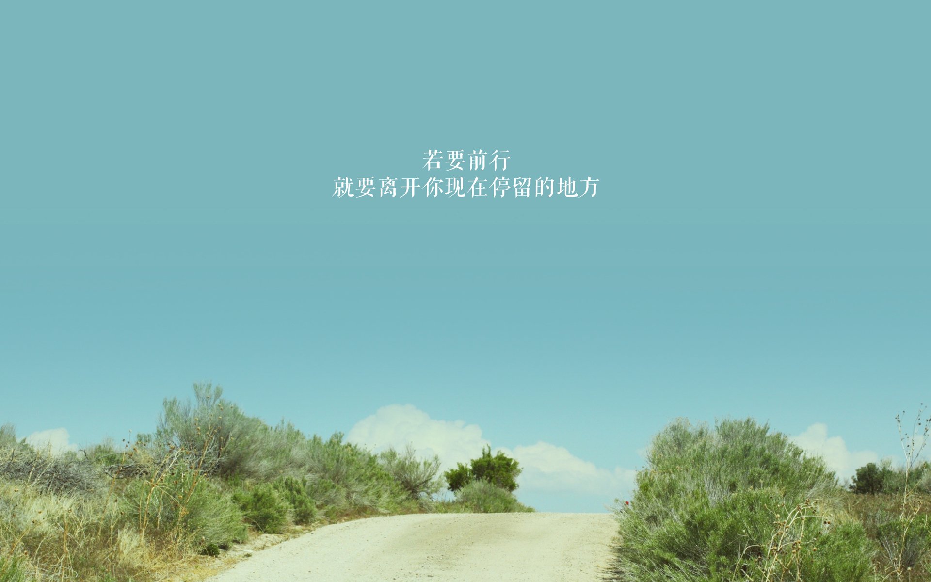 九游官网-WRC新技术亮相：智能辅助带来新体验，wrc软件