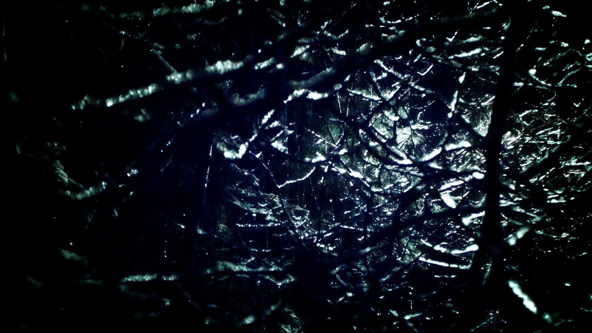 九游电脑版-WRC新赛季全景展望：未来的挑战与机遇，wrc赛事