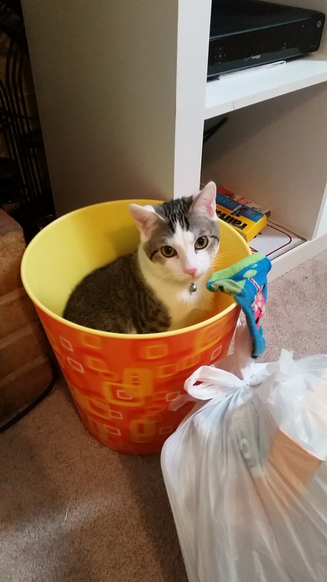 九游app下载中心-_水中雕塑比赛：科技点缀的艺术运动_，水下雕塑