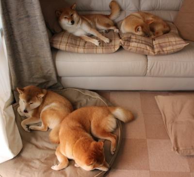 九游娱乐APP-【战术大师】奥沙利文：利用变招制造战局迷雾，奥沙利文的战绩