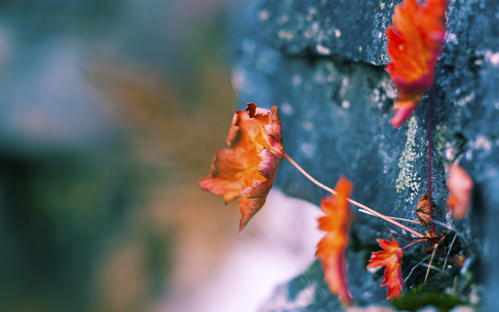 九游网页版官网入口-中国篮球协会发布新赛季比赛规程，中国篮球协会发布新赛季比赛规程是什么