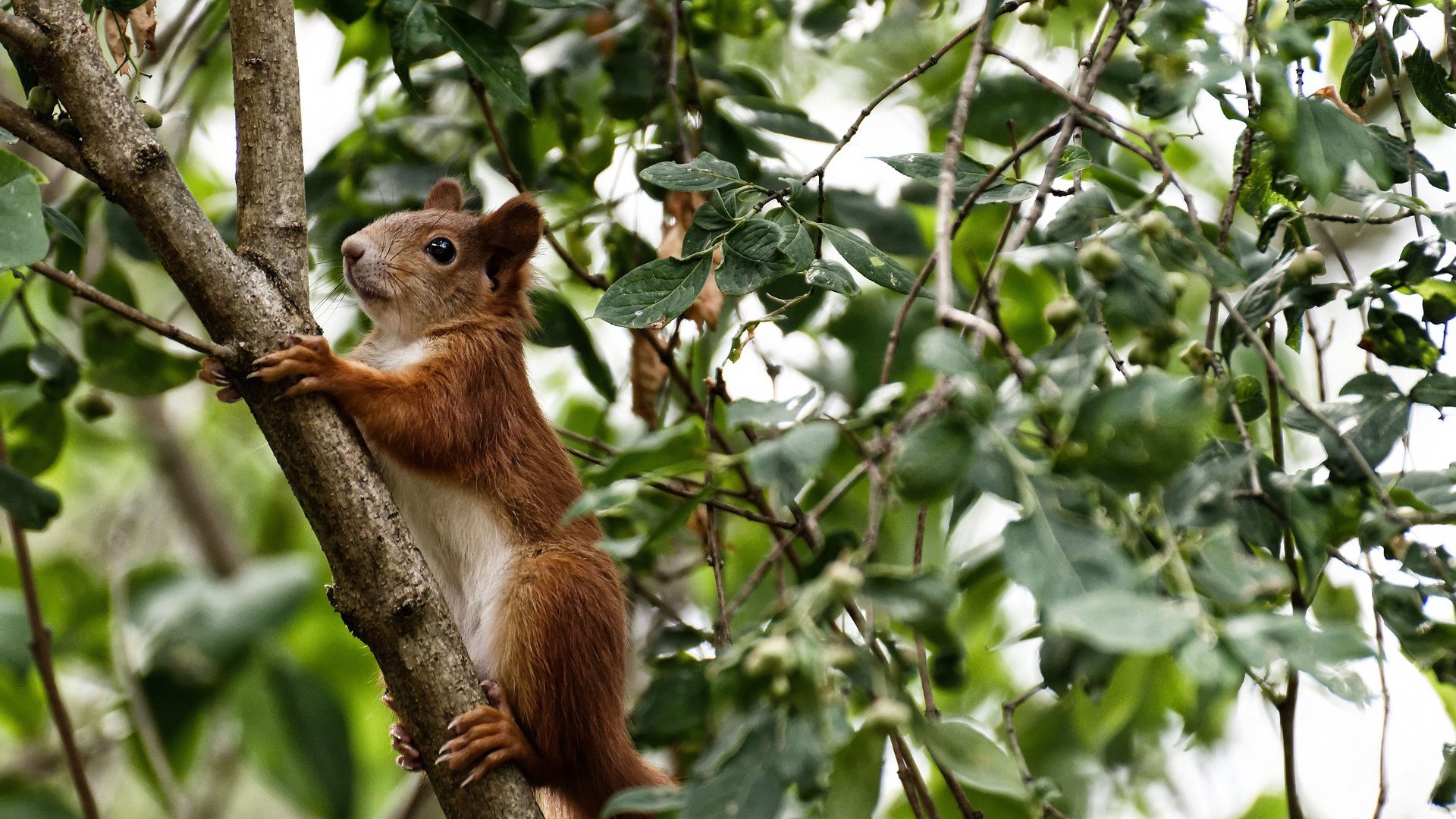 九游手机游戏-中国队在巴黎奥运会比赛中多次通过二次进攻得分，巴黎奥运会 中国